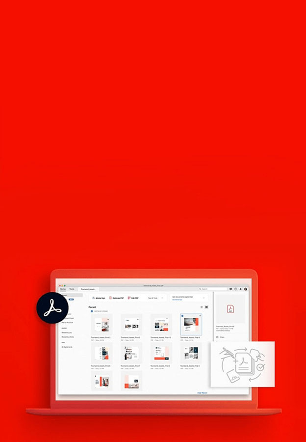Designer资深设计师，按年付费
